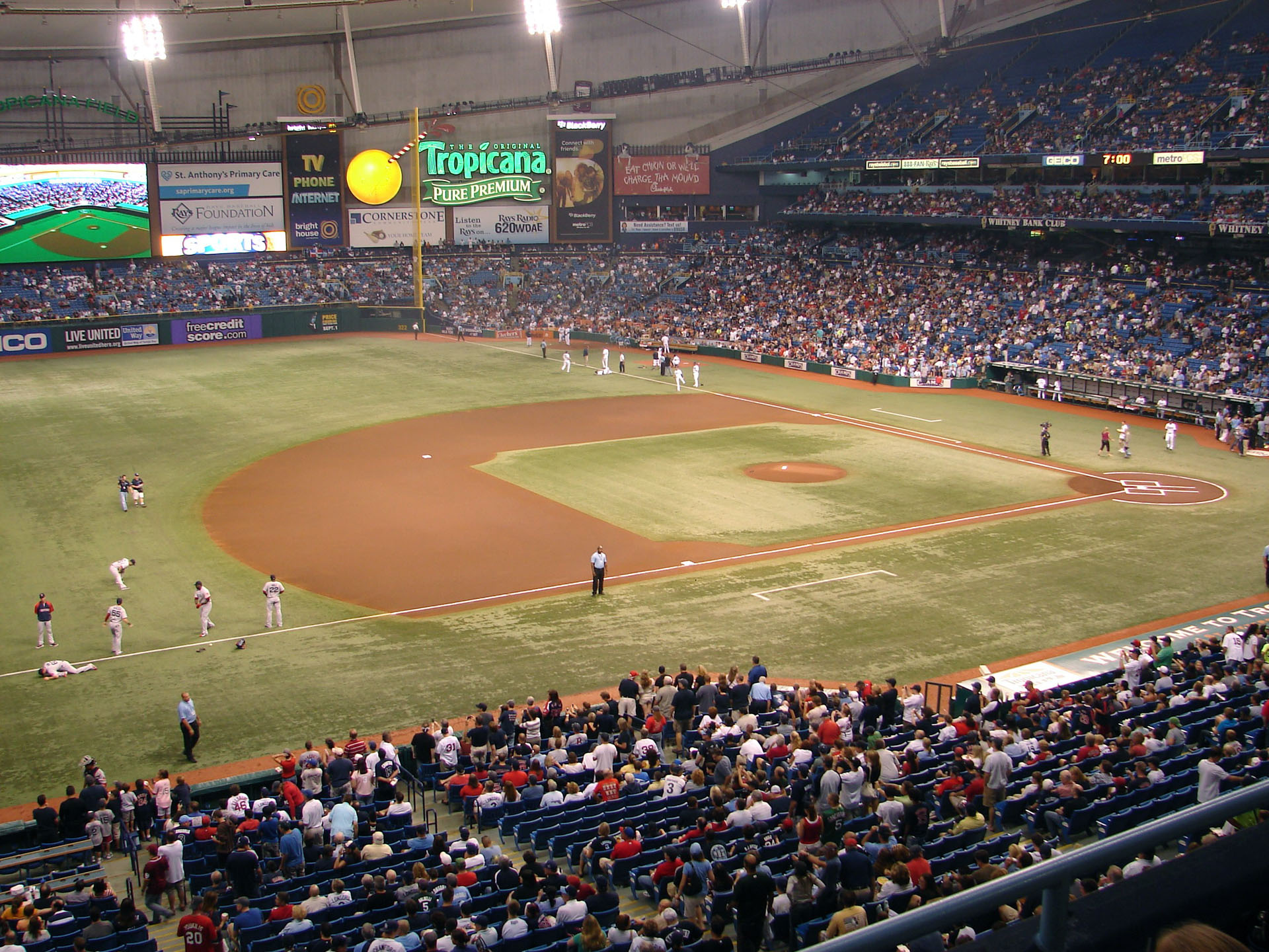 Tropicana Field - HD Wallpaper 