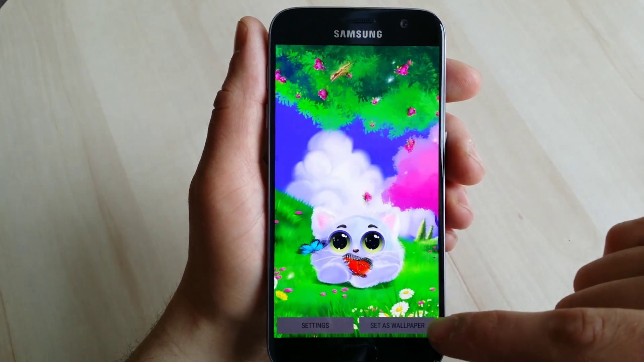 Animated Cat Live - HD Wallpaper 