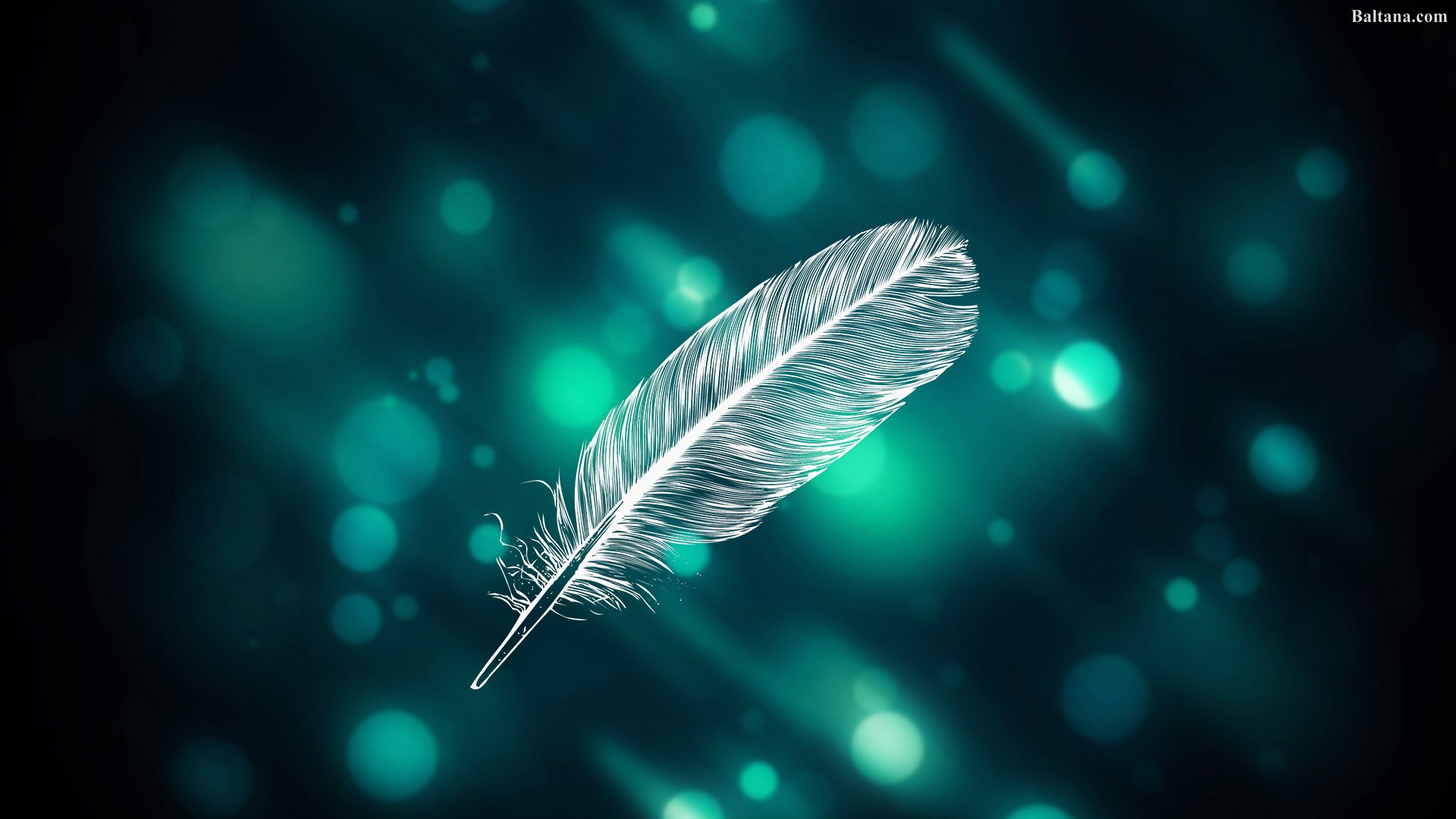 Feather Background Wallpaper - Wallpaper - HD Wallpaper 