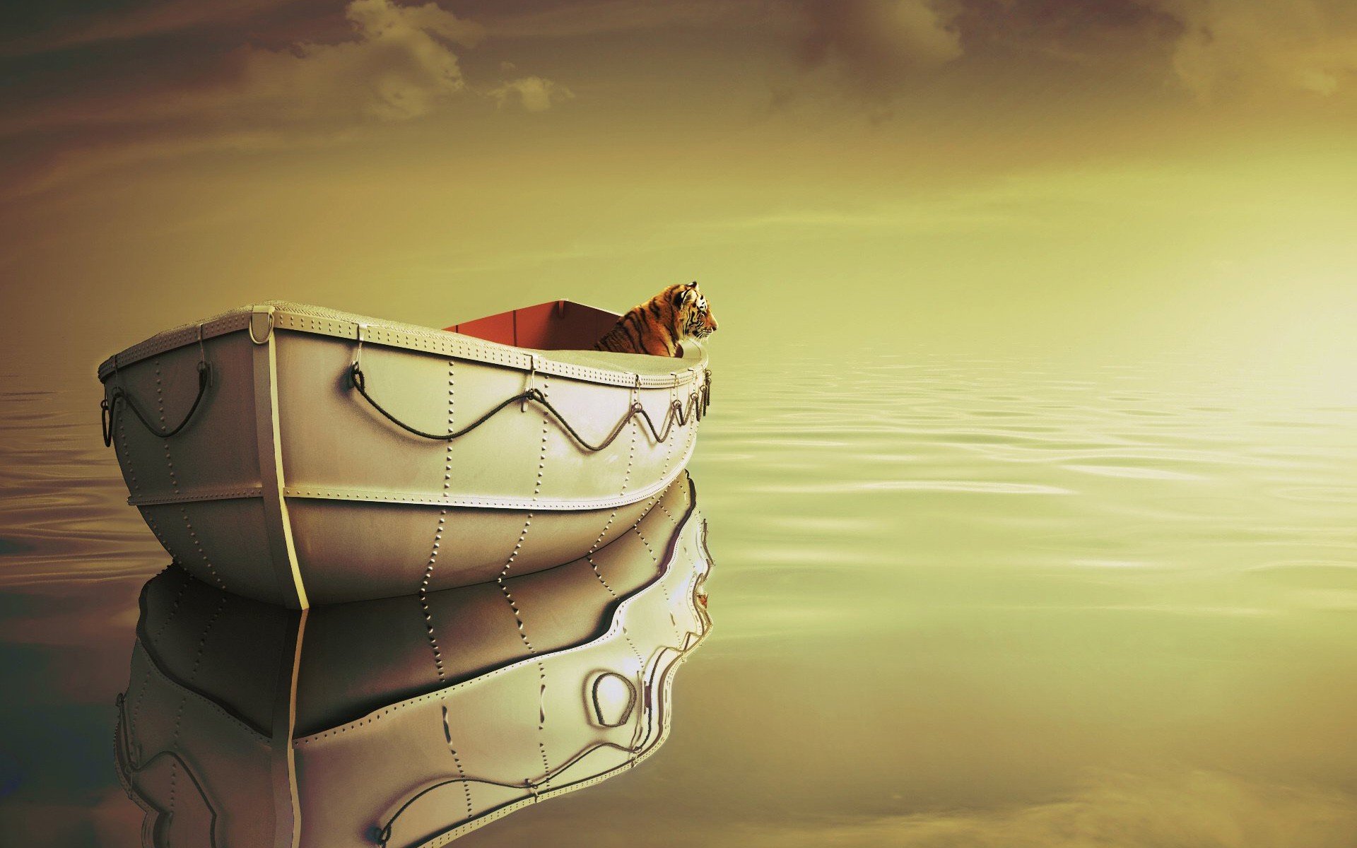 Life Of Pi Movie Background - HD Wallpaper 