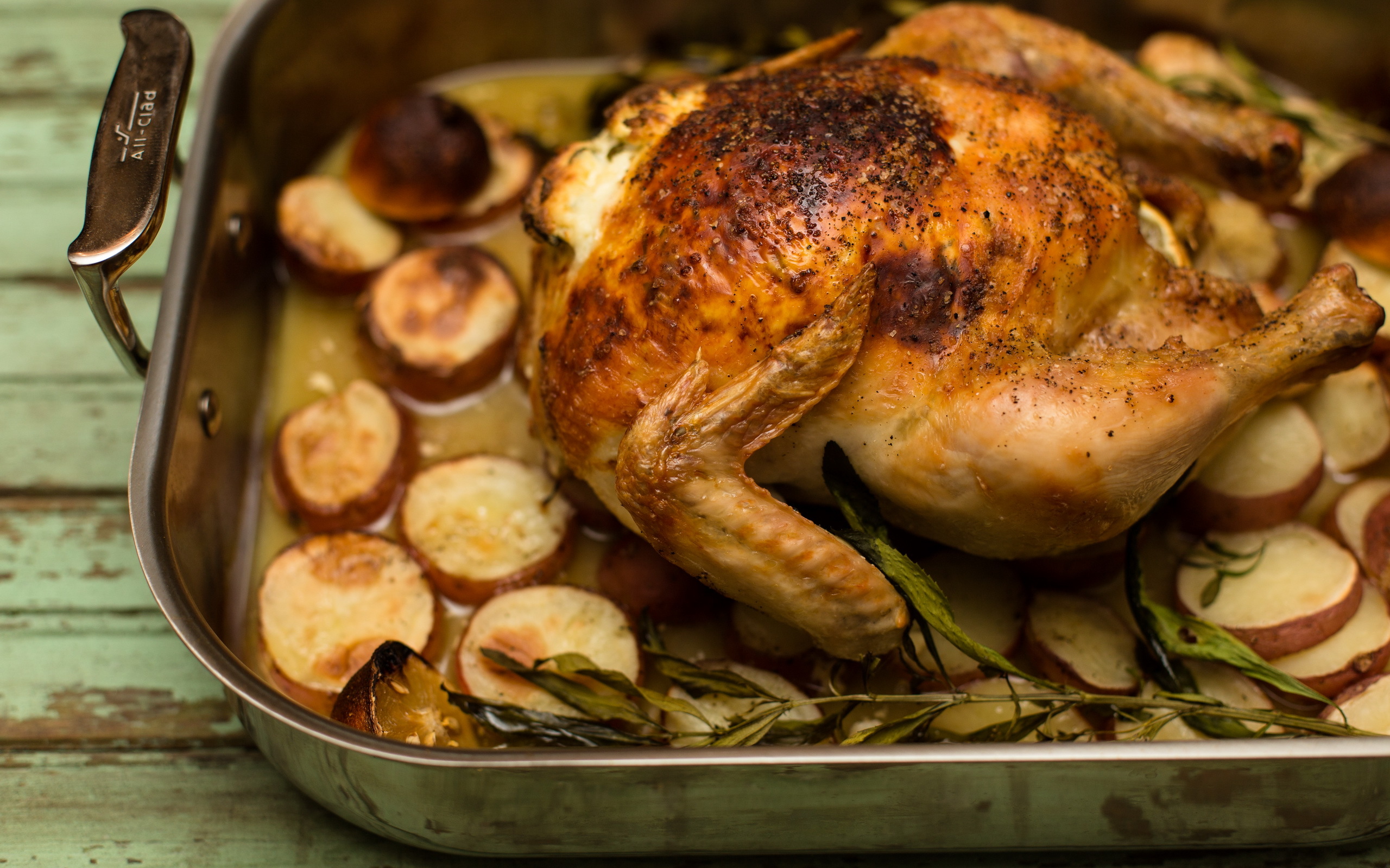 Chicken - HD Wallpaper 