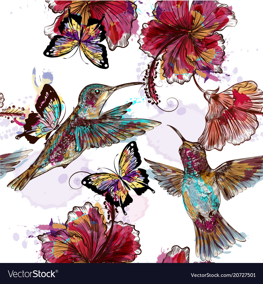 Hummingbird Pattern - HD Wallpaper 