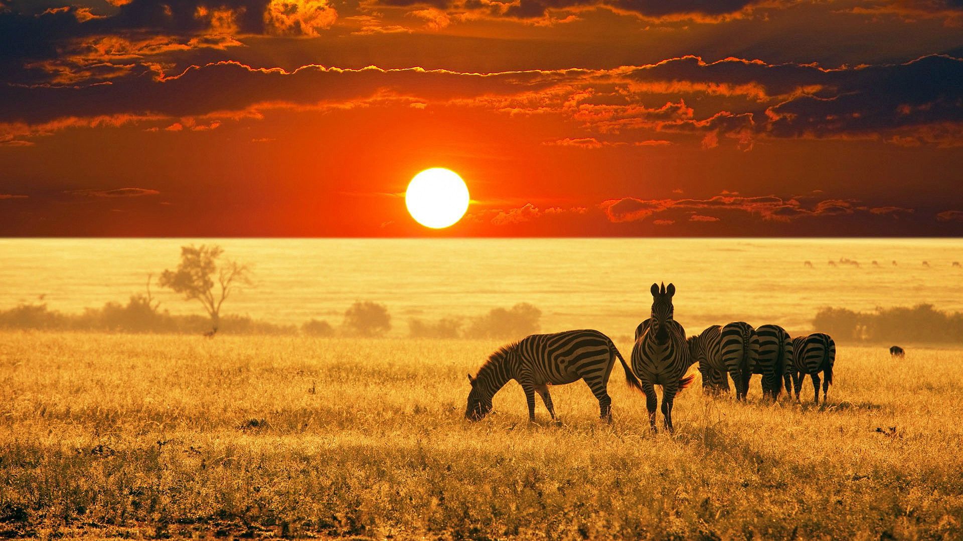 Nice Photos Of Hd Africa 4k Ultra Hd - Africa 4k - HD Wallpaper 