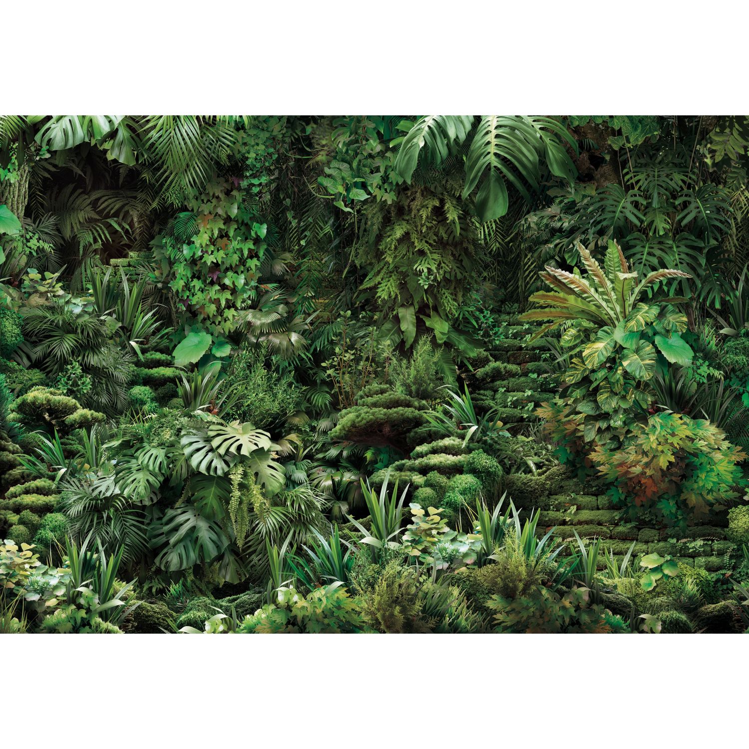 Panoramique Papier Peint Jungle - HD Wallpaper 