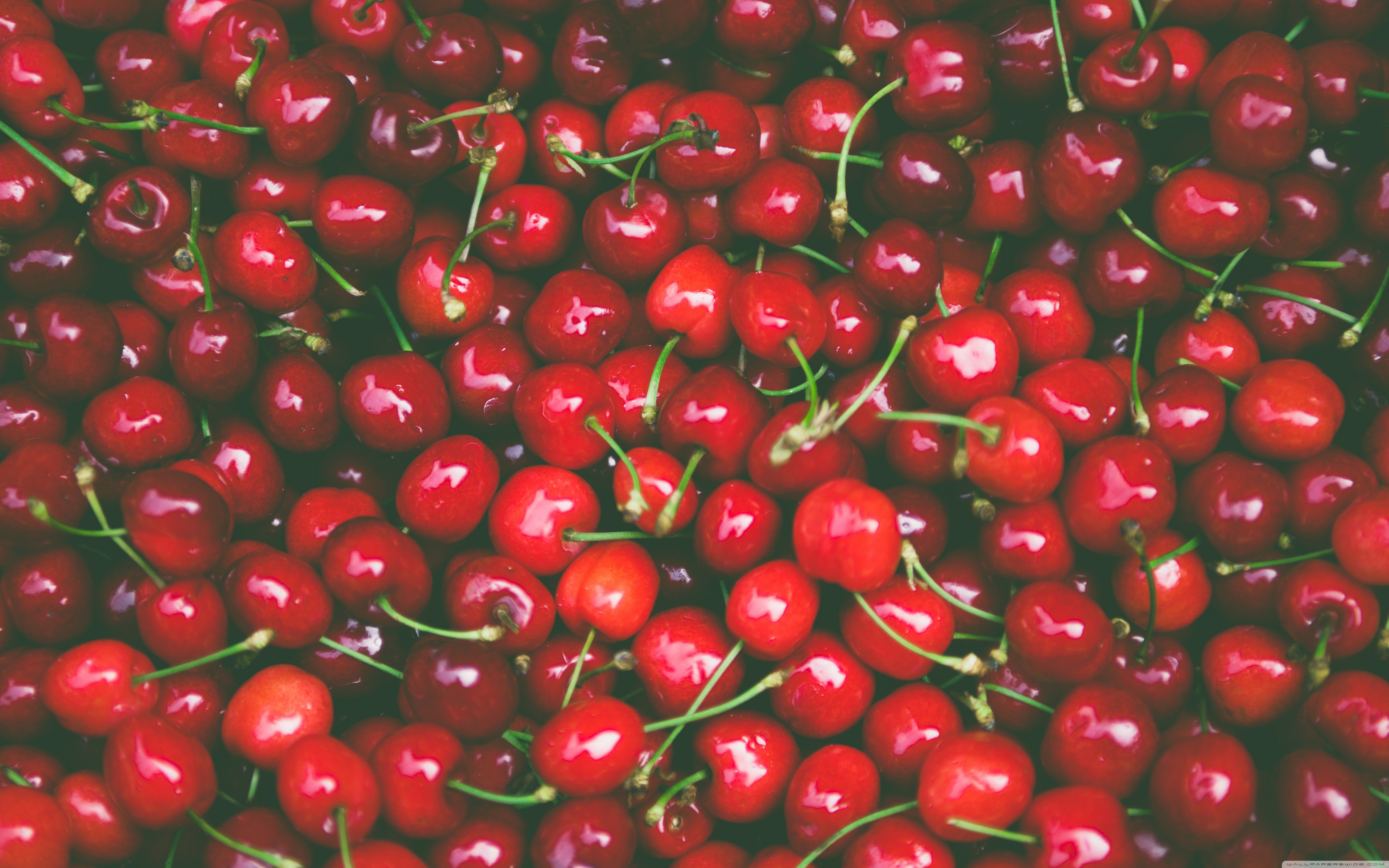 Cherry Fruit - HD Wallpaper 