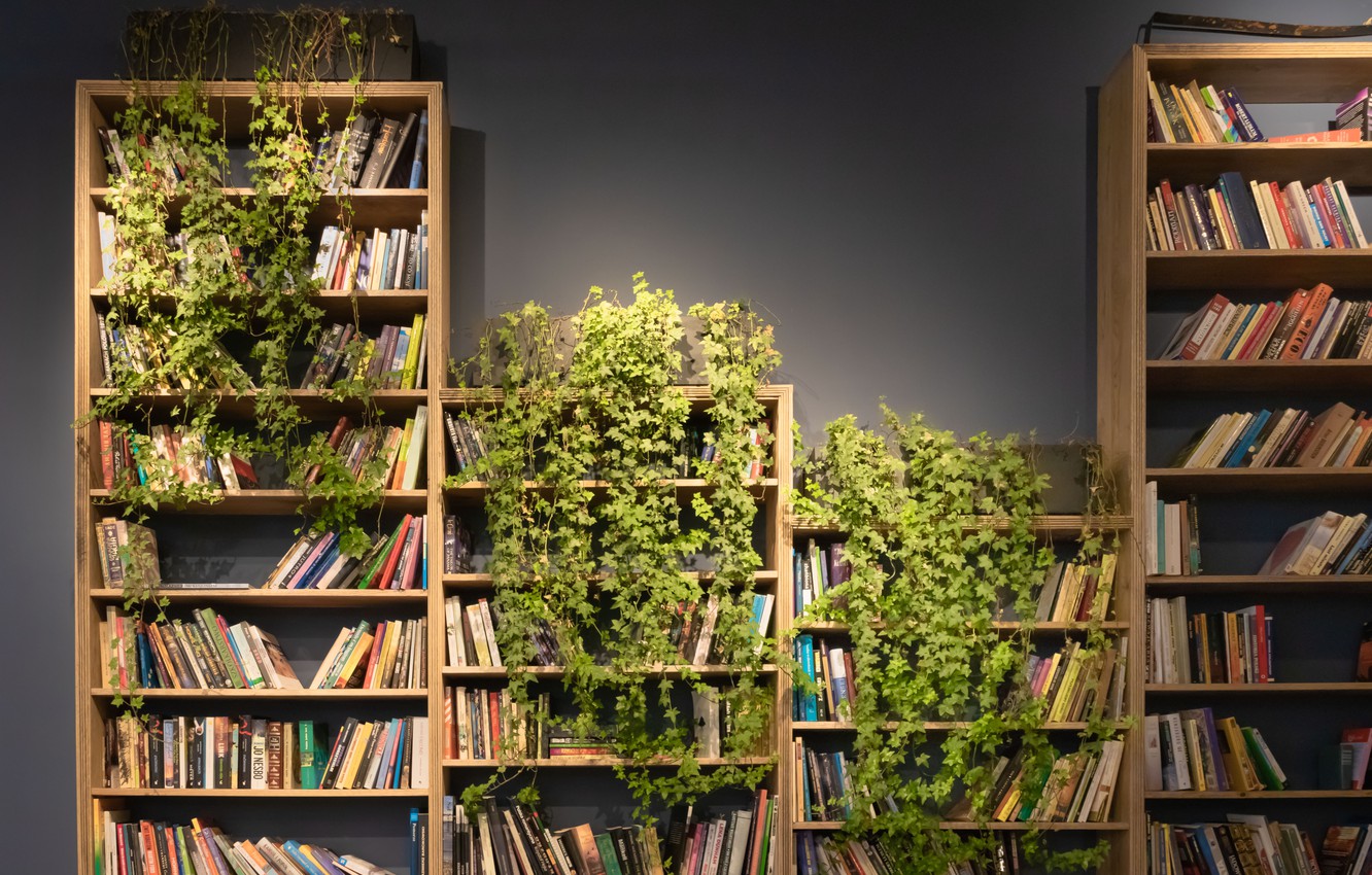 Photo Wallpaper Books, Plants, Shelf, Books, Shelves, - Bookshelf With Plants - HD Wallpaper 