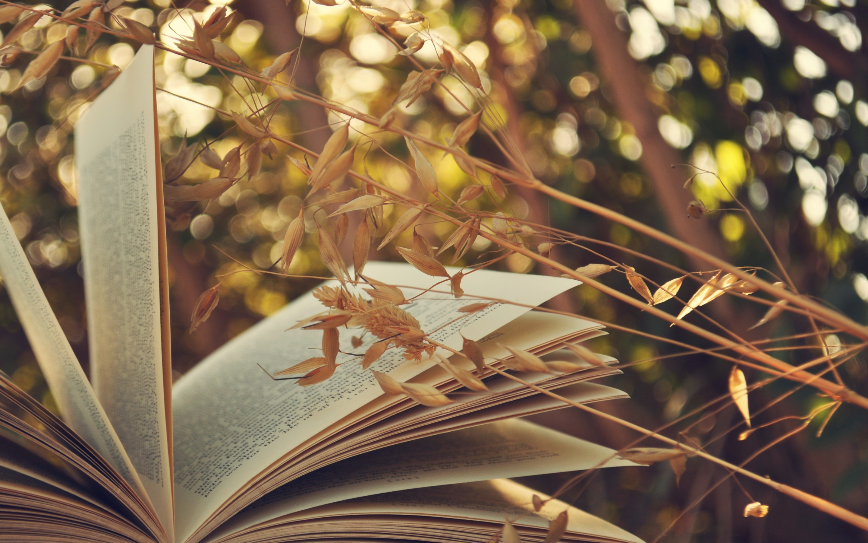 Download 2880x1800, Book Lovely Hd Wallpaper - Book Wallpaper For