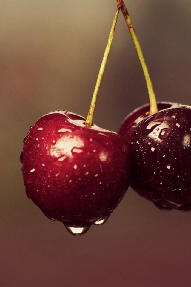 Hd Cherry Wallpaper For Mobile - HD Wallpaper 