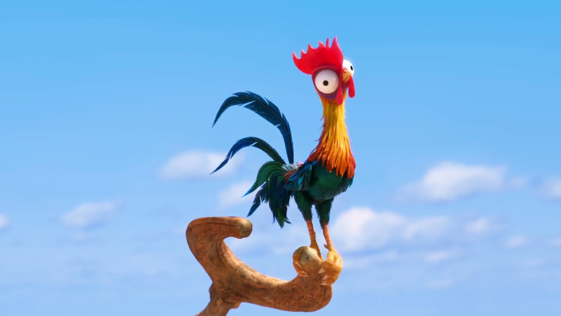 Moana Chicken Wallpaper - Moana Chicken - HD Wallpaper 