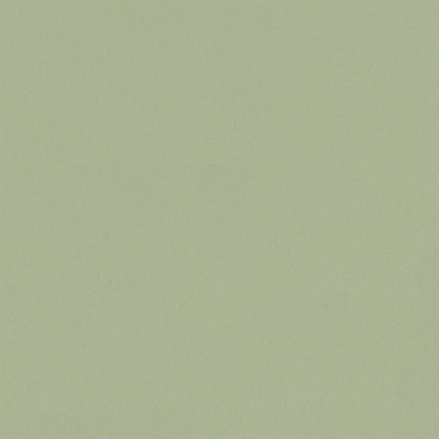 Beige - HD Wallpaper 