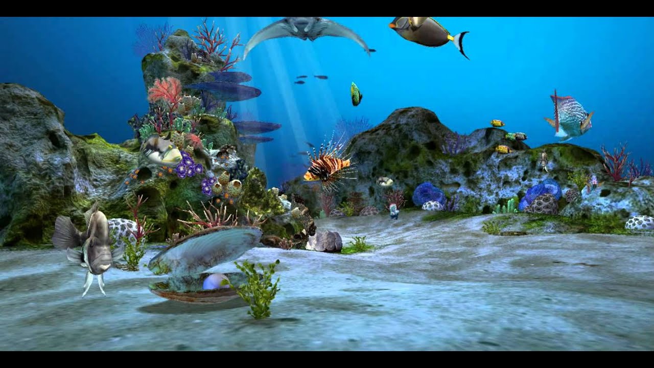3d Wallpaper Aquarium - 1280x720 Wallpaper 