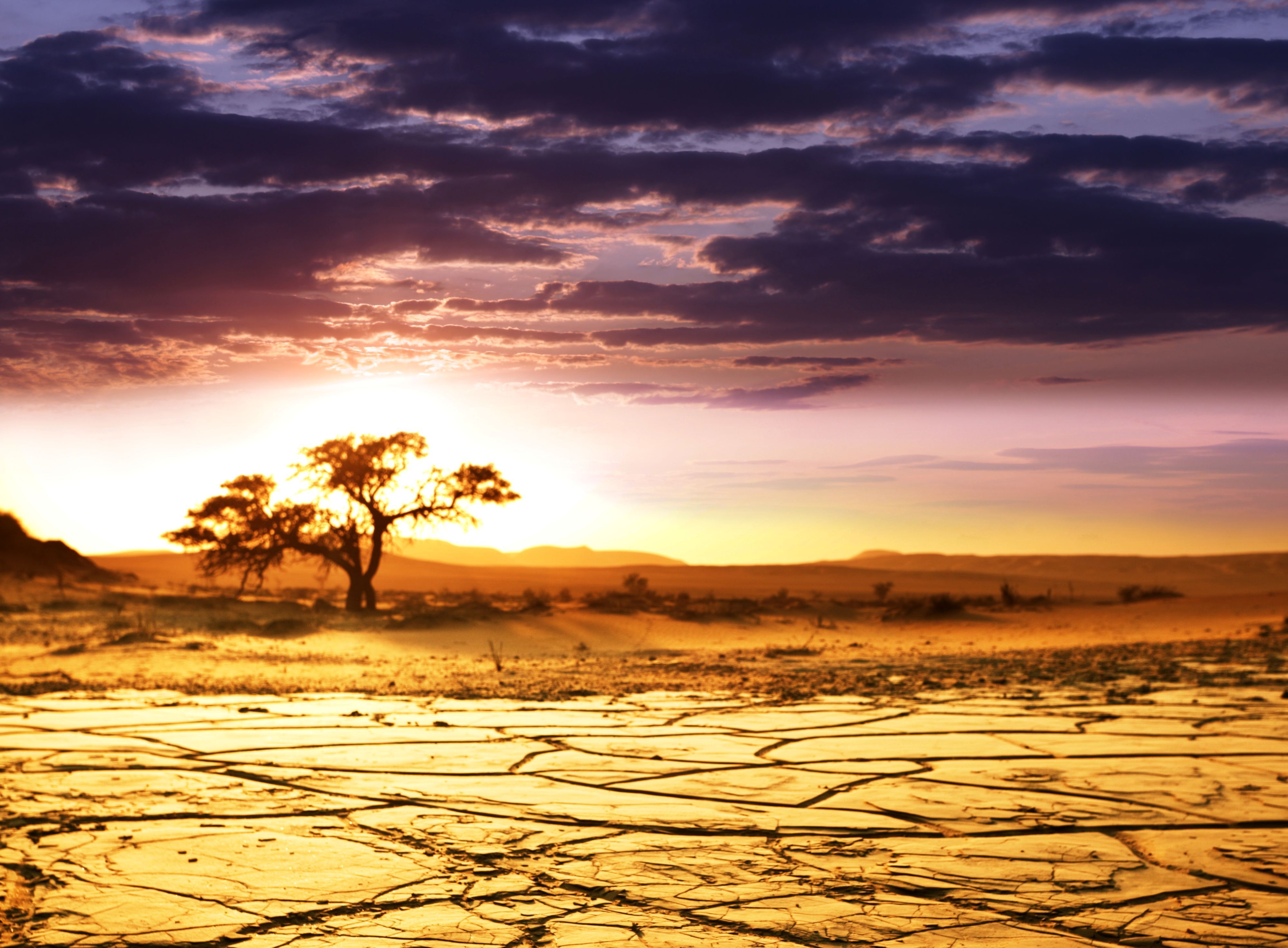 Africa Background Hd - HD Wallpaper 