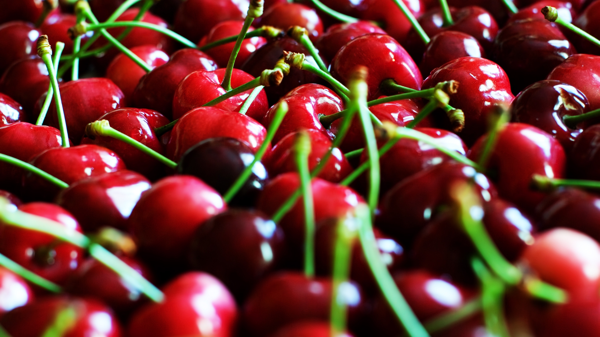 Cherry Wallpaper - HD Wallpaper 