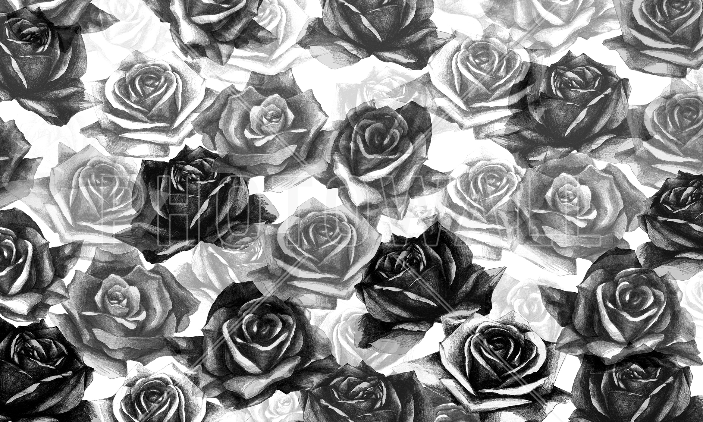 My Black Roses - Black And White Rose Wall Paper - HD Wallpaper 