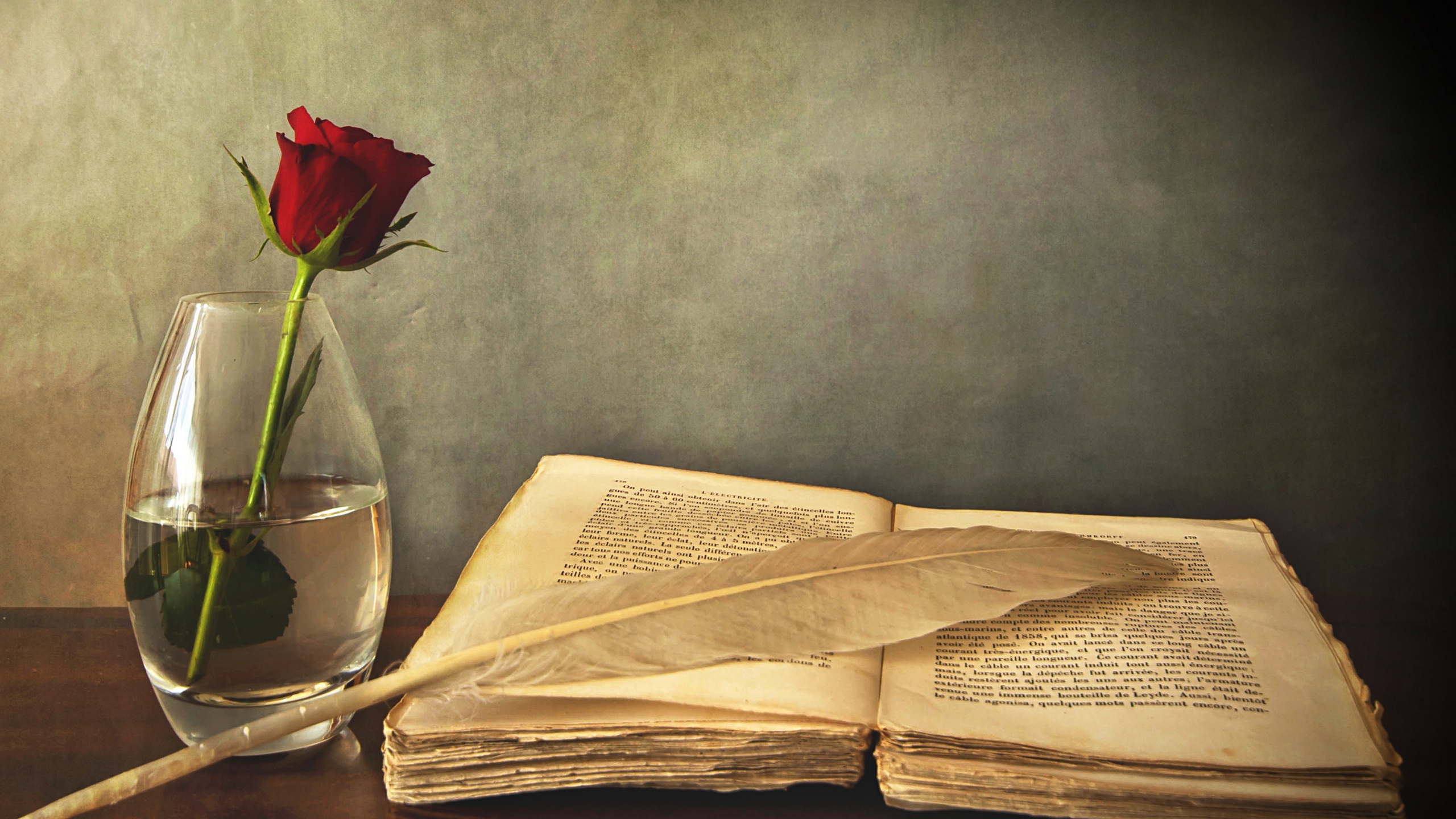 Wallpaper Book, Old, Pen, Table, Vase, Rose, Red - Book And Pen Background - HD Wallpaper 