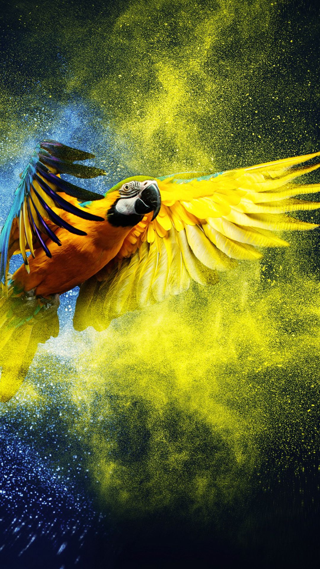 Parrot Wallpaper For Iphone X, 8, 7, - Parrot Wallpaper Iphone - HD Wallpaper 