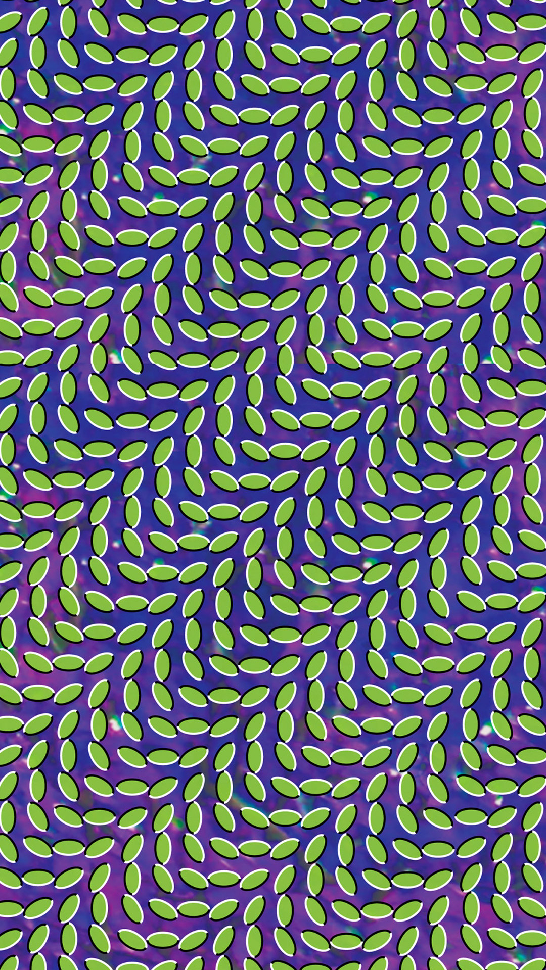 Animal Collective Album Covers - HD Wallpaper 