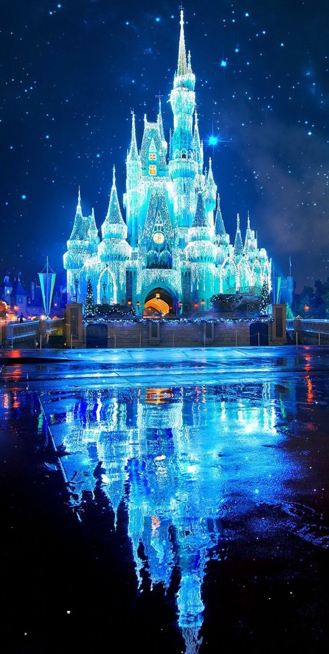 Disney World, Cinderella Castle - 644x1280 Wallpaper 