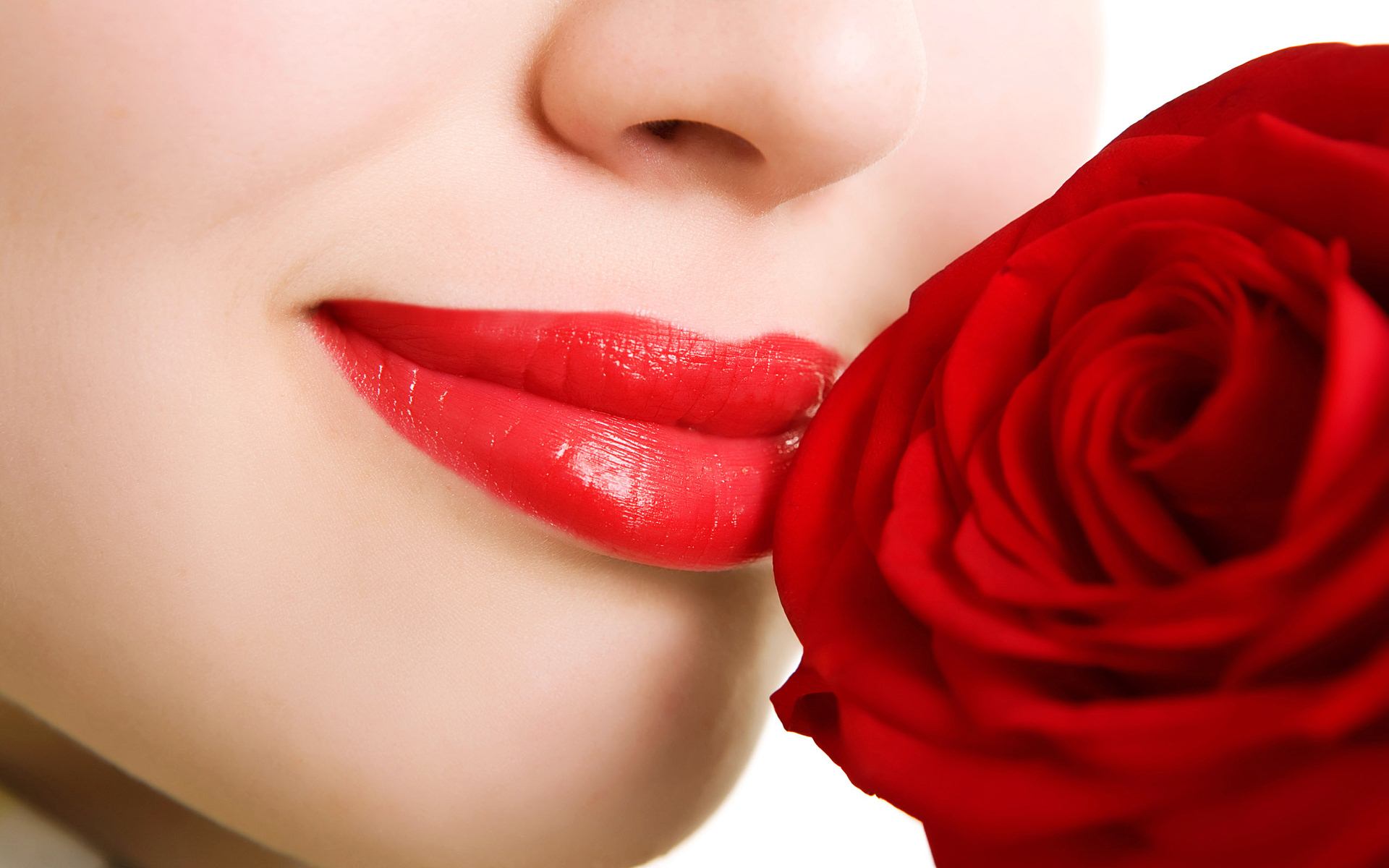 Red Flower Wallpaper - HD Wallpaper 