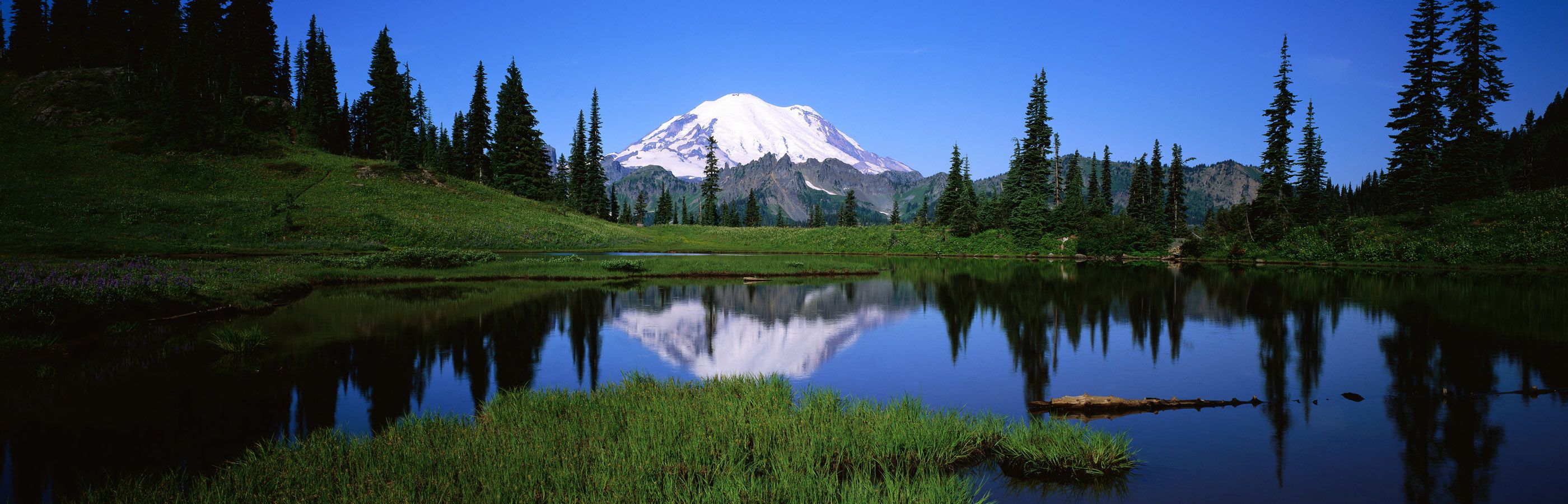 Mount Rainier National Park, Sunrise Lake - HD Wallpaper 