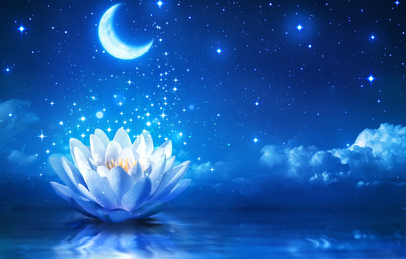 Photo Wallpaper Flower, Water, Lights, Lotus, Flower, - Water Lily And Moon - HD Wallpaper 