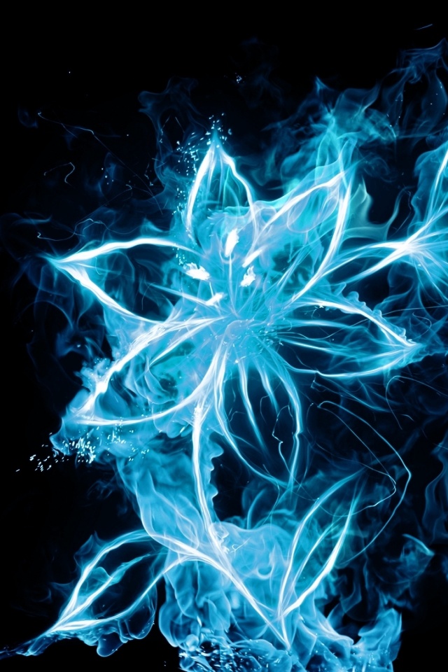 Iphone Wallpaper Blue Flower - HD Wallpaper 