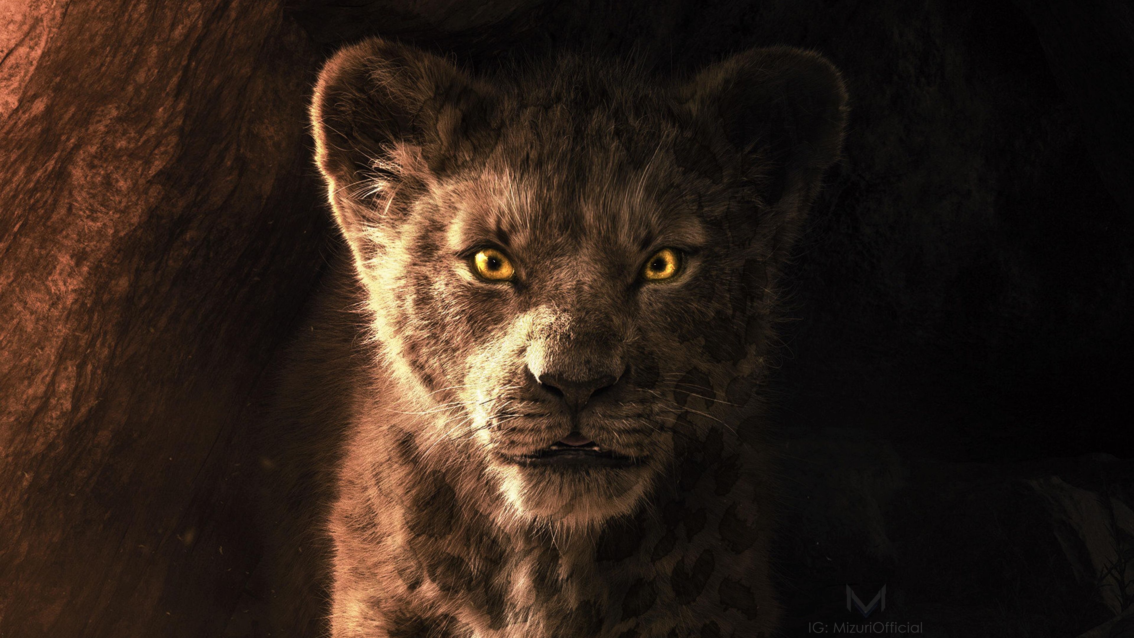 Simba Wallpaper Lion King - HD Wallpaper 