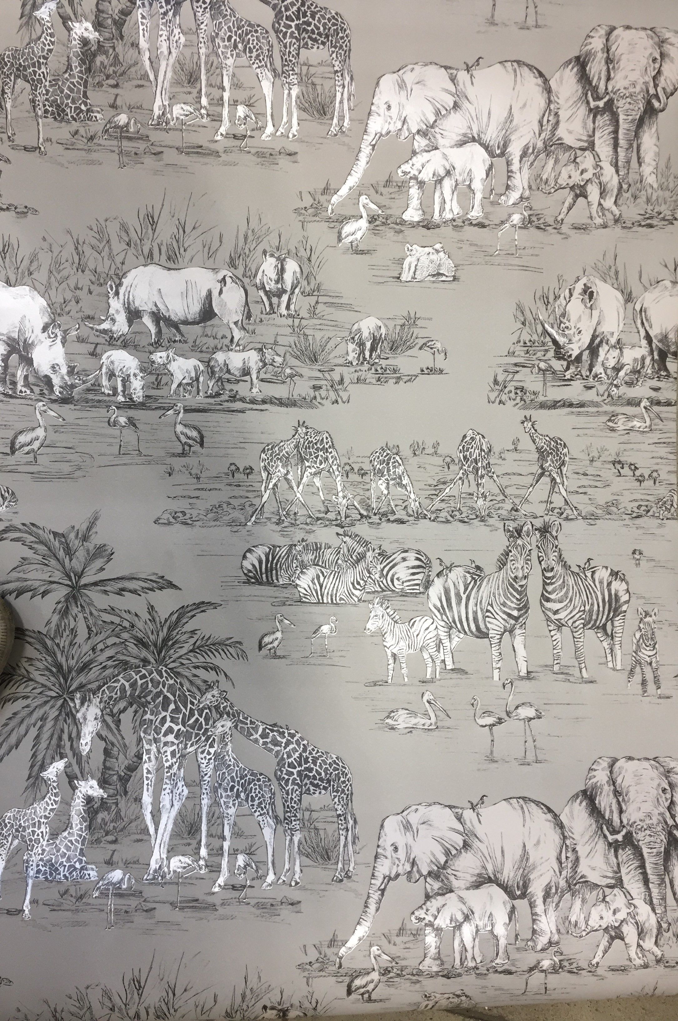 B&q Animal 2169x3264 Wallpaper teahub.io