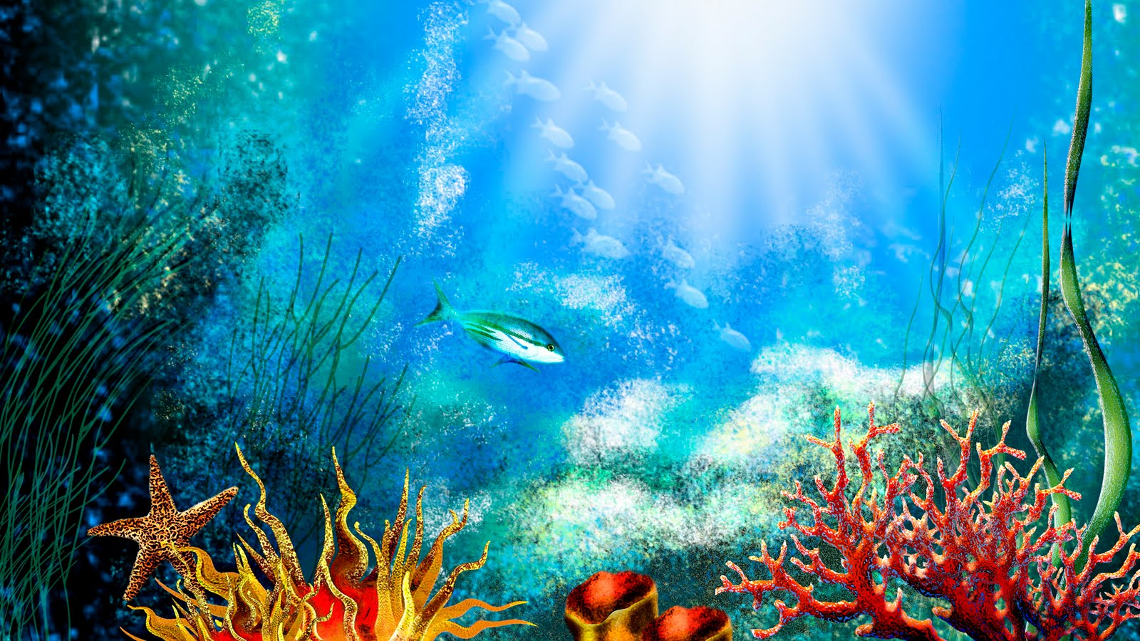 Aquarium Fish Background - HD Wallpaper 