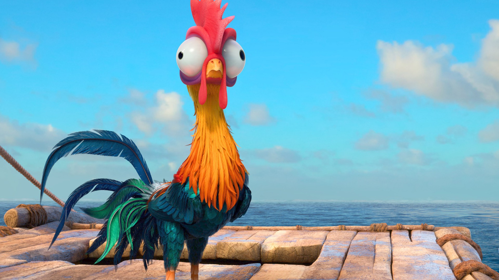 Heihei Moana Disney Movie Chicken Wallpaper - Heihei In Moana - HD Wallpaper 