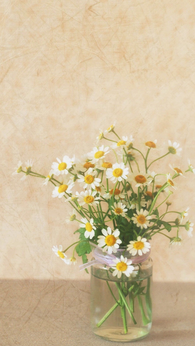 Pure Simple Daisy Flower Water Glass Vase Iphone Wallpaper - Iphone Wallpaper Simple Flower - HD Wallpaper 