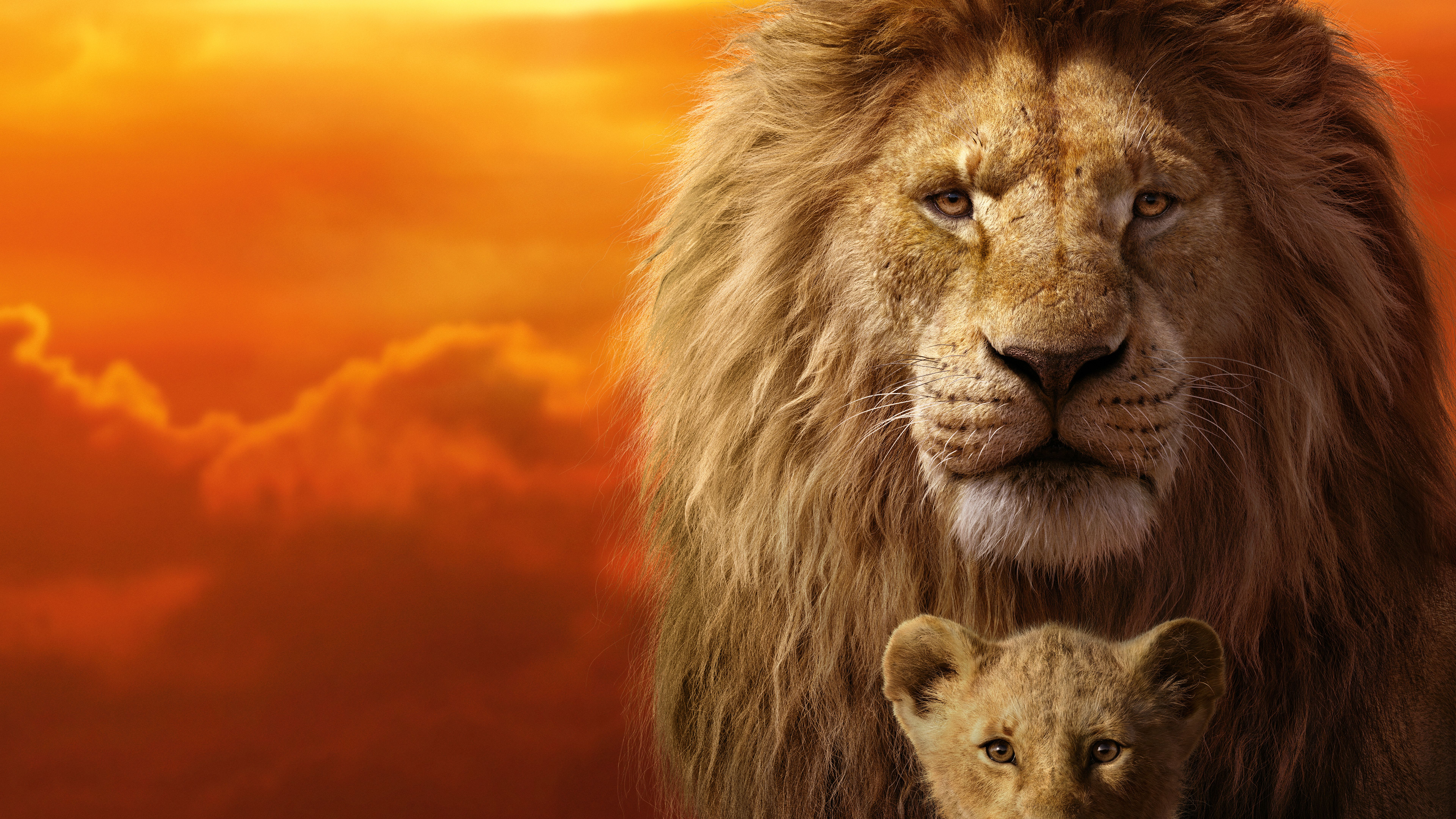 The Lion King Mufasa Simba 4k 8k Wallpapers - Lion King 2019 Hd - 7680x4320  Wallpaper 