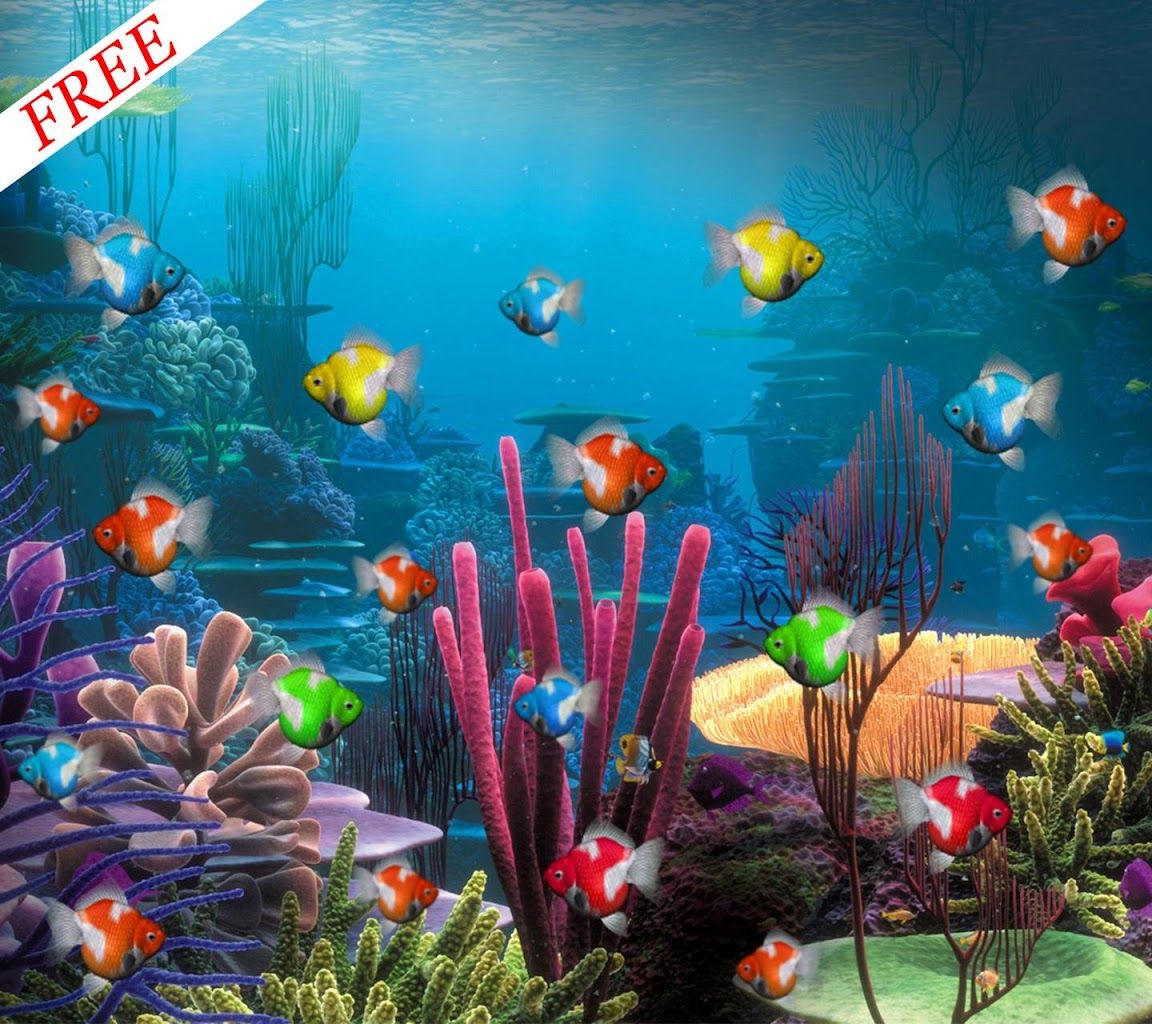 Aquarium Live Wallpaper 5 - Bottom Of The Ocean Scene - HD Wallpaper 