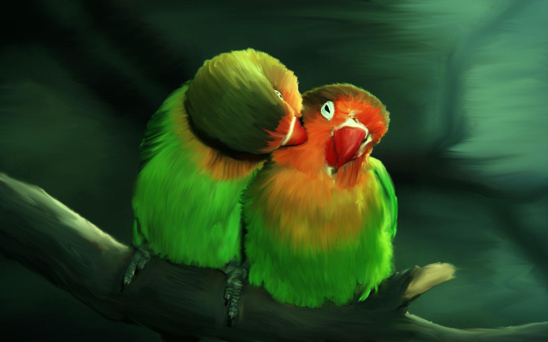 Love Bird Wallpapers 
 Data-src /full/1080748 - Two Birds In Love - HD Wallpaper 