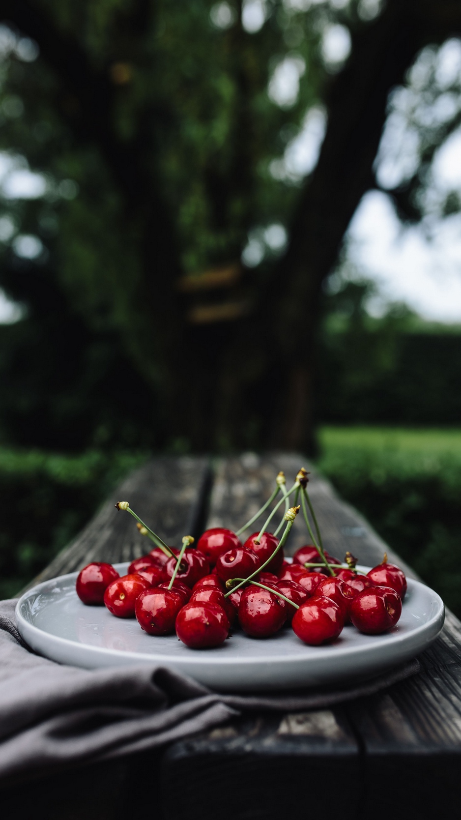 Wallpaper Cherries, Cherry, Dish, Motion Blur - Iphone Cherry Wallpaper Hd - HD Wallpaper 