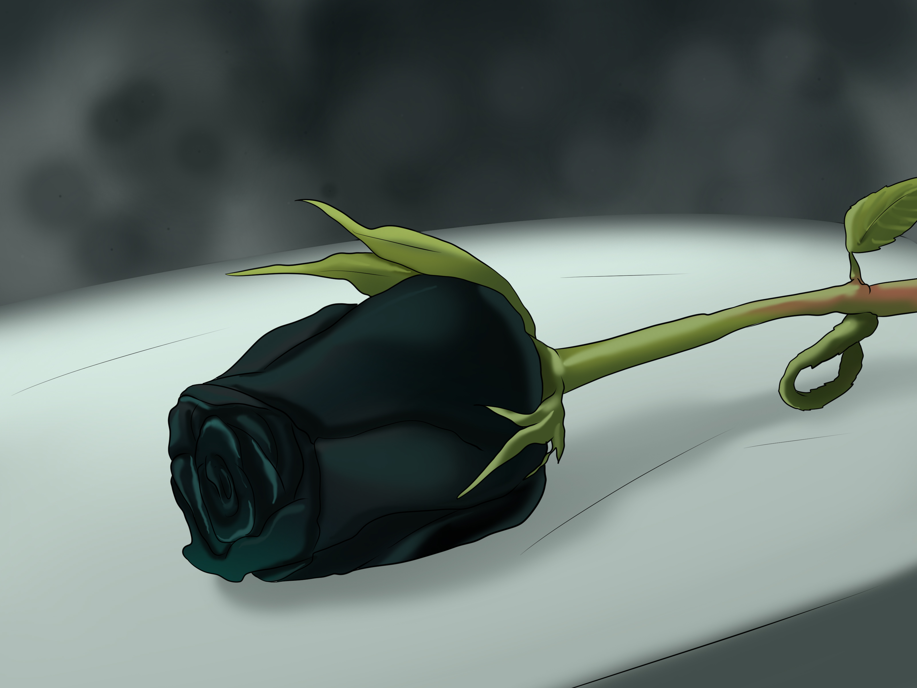 Grow Black Rose - Black Rose Images Hd - HD Wallpaper 