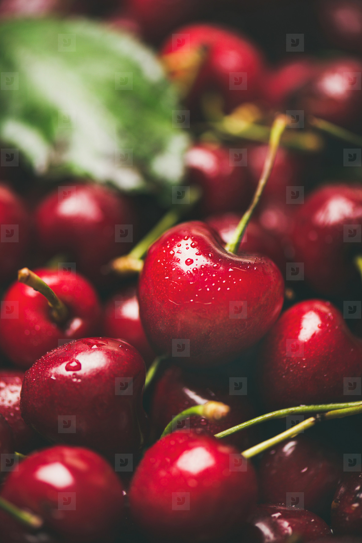Sweet Cherry - HD Wallpaper 