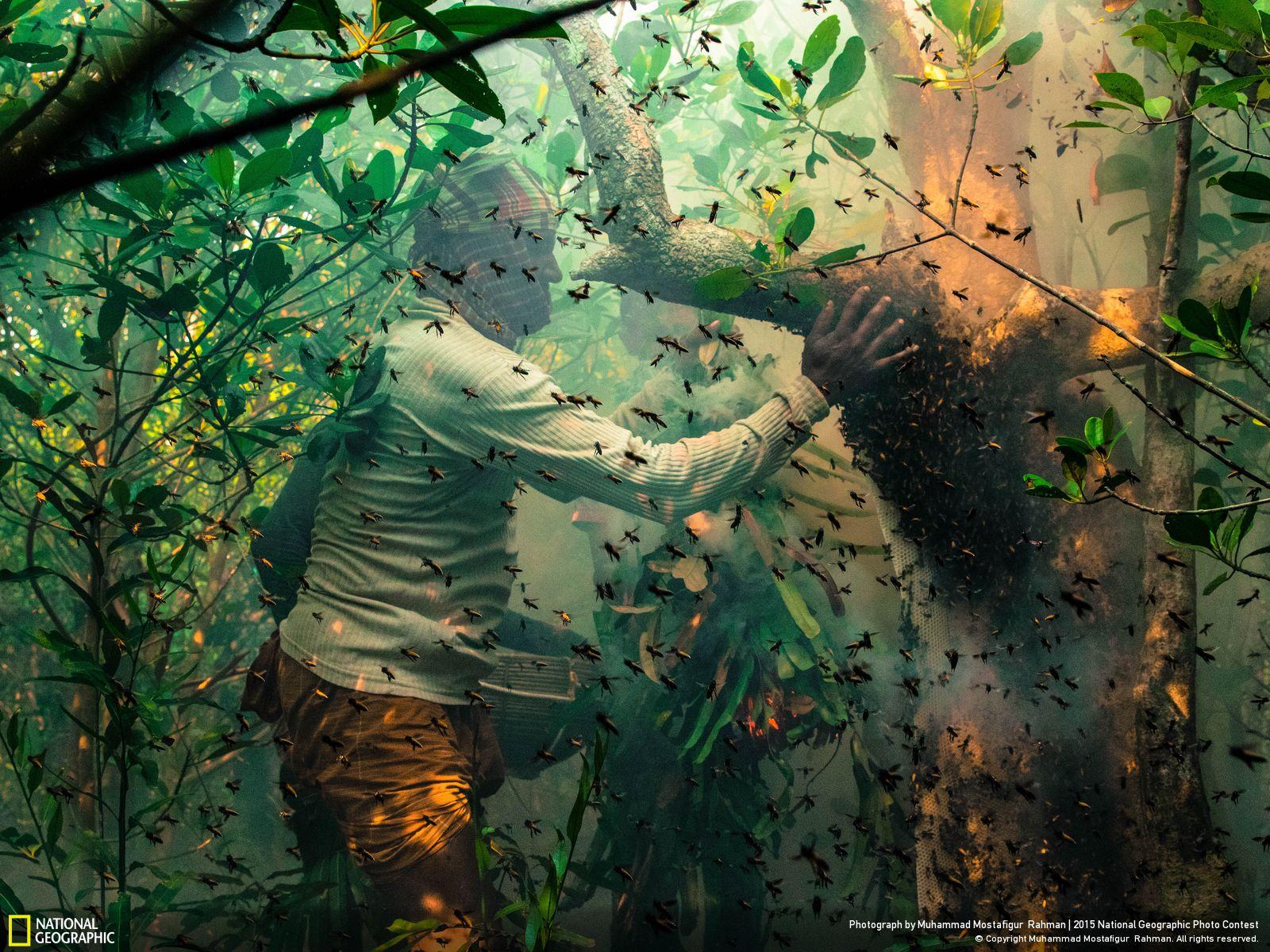 <a href="javascript:void(0)">A Weekend Well Spent In Sundarban</a> 1 Sundarban Tourism