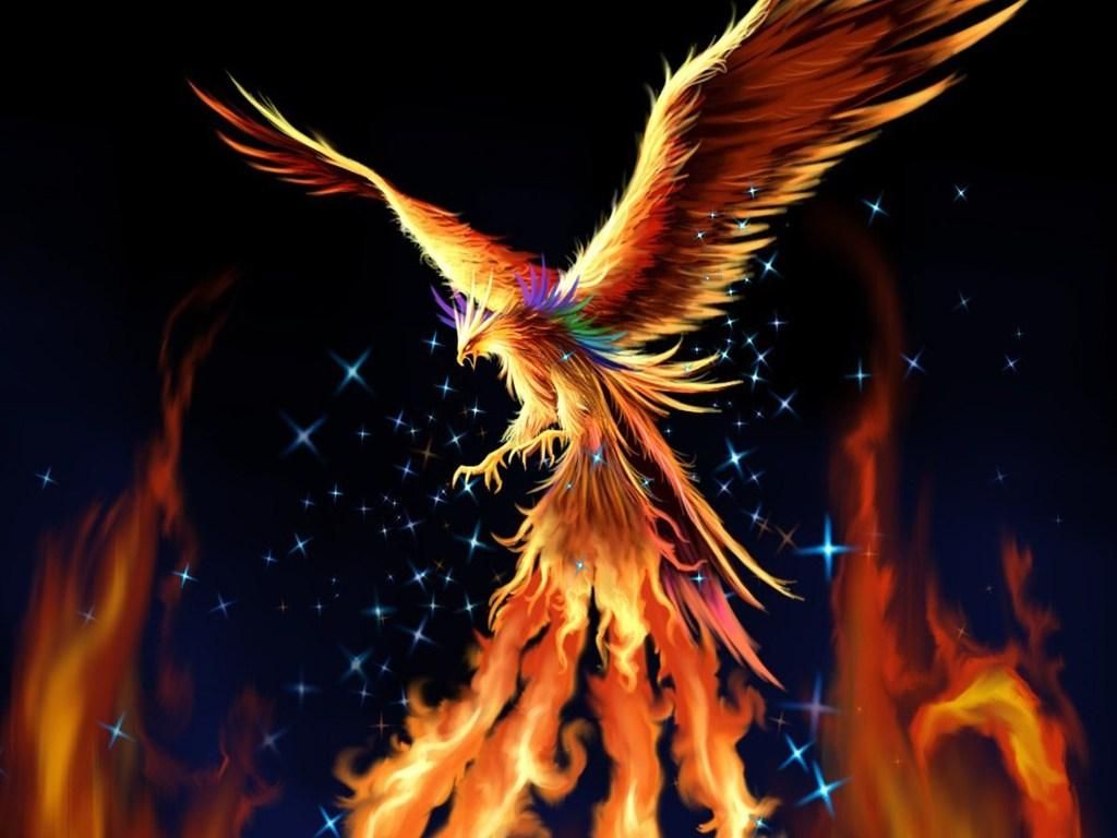 Female Phoenix Bird - HD Wallpaper 