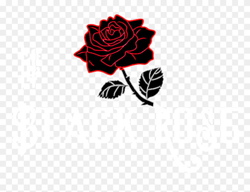 The Black Rose Desktop Wallpaper - Black Rose Wallpaper Png - HD Wallpaper 