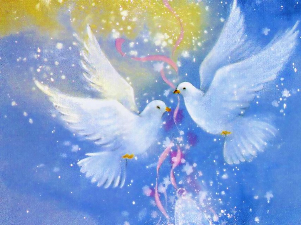Love Birds - Love Birds Photos Download - 1024x768 Wallpaper Love Birds - Love Birds Photos Download - 1024x768 Wallpaper