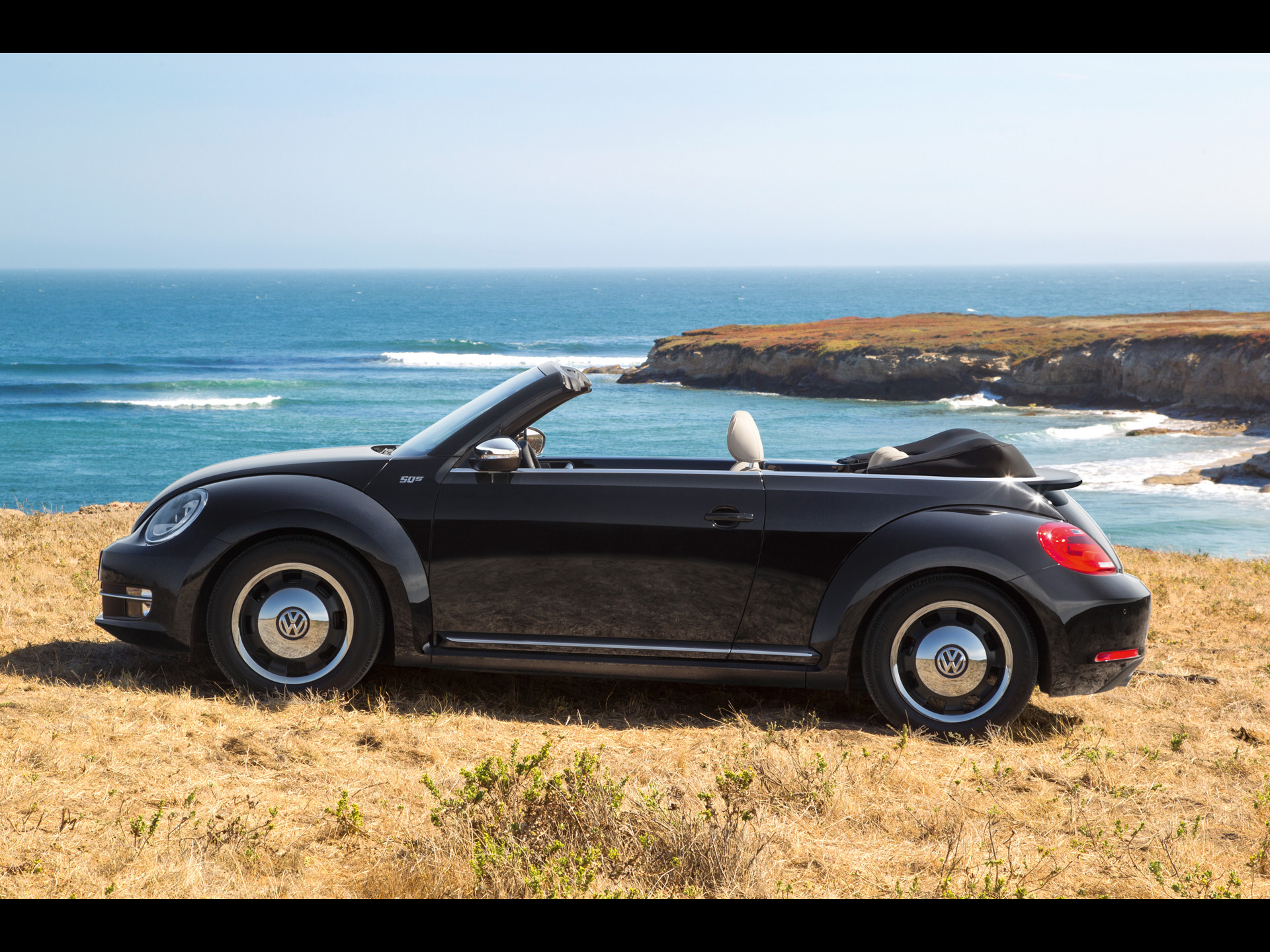 Vw Beetle Birds - HD Wallpaper 