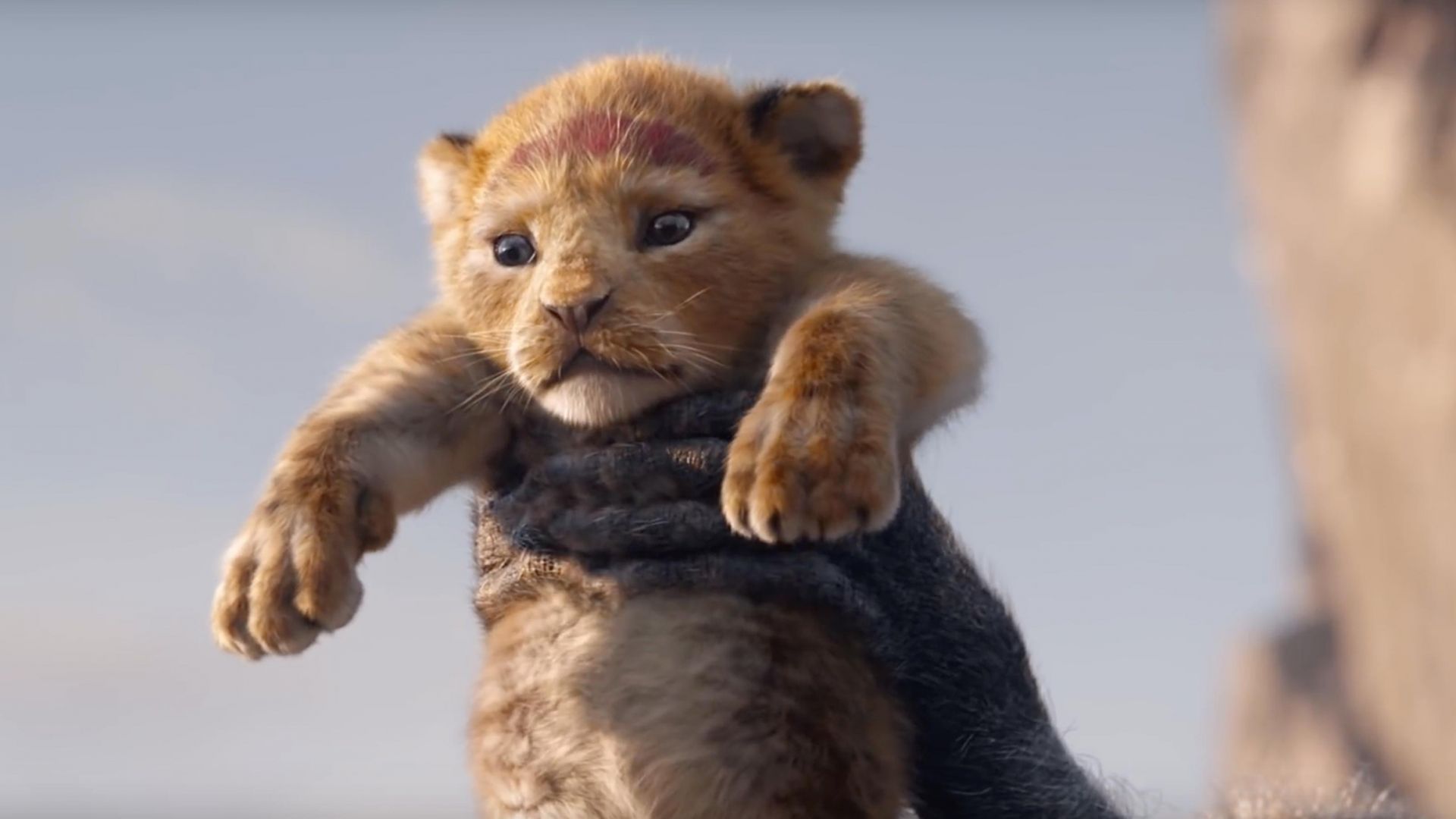 The Lion King, Hd - Lion King 2019 - HD Wallpaper 