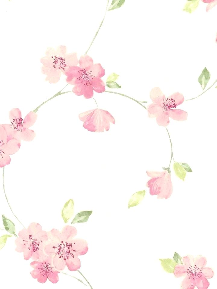 Cherry Wallpaper Border Design Japanese Blossom - Cherry Blossom - HD Wallpaper 