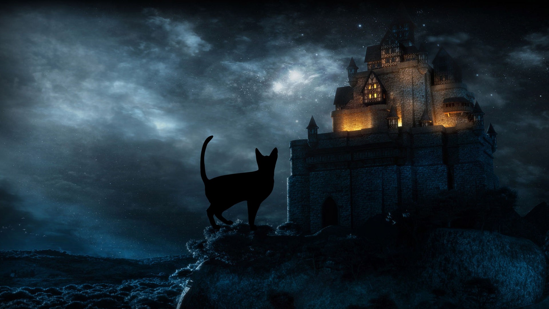 Halloween Black Cat Hd Desktop Wallpapers - Halloween Desktop - HD Wallpaper 