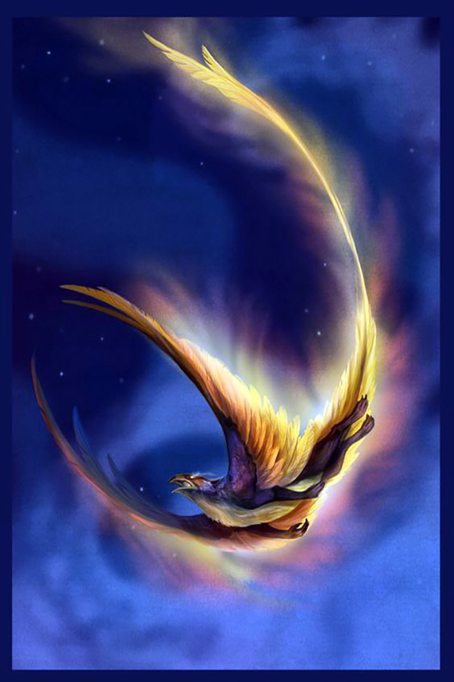 Phoenix Wallpaper Note 10 F13 S11 Wallpapers 30 - Illustration - 640x960 Wallpaper Phoenix Wallpaper Note 10 F13 S11 Wallpapers 30 - Illustration - 640x960 Wallpaper