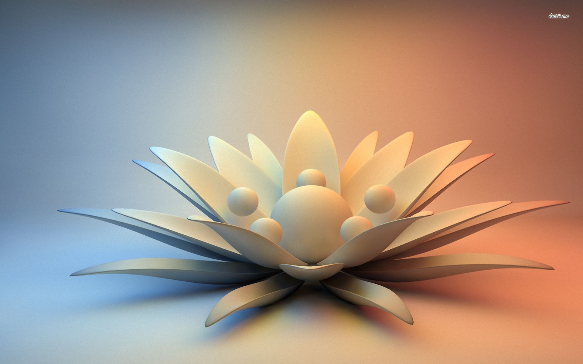 Lotus Flower In 3d - HD Wallpaper 