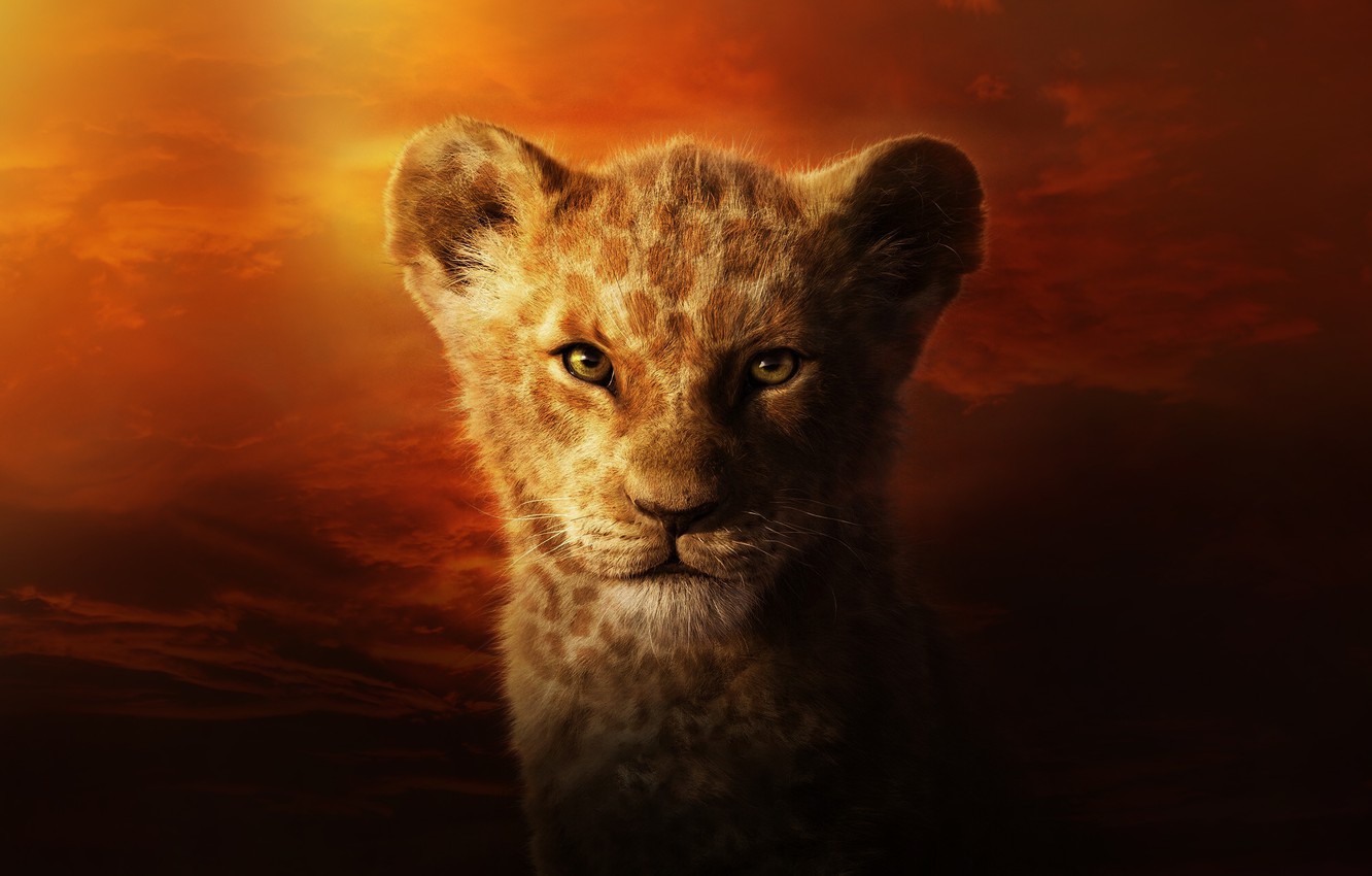 Photo Wallpaper Cat, Leo, Face, The Lion King, Simba, - Lion King Vs Black Panther - HD Wallpaper 