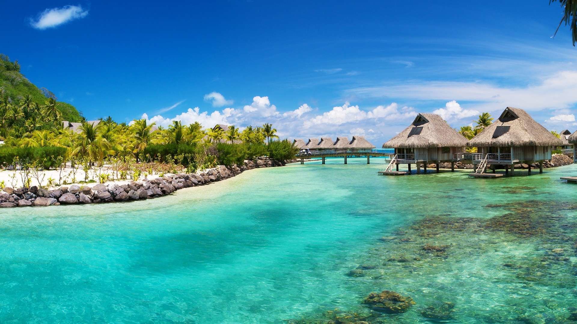 Tropical Island Beach Holiday Hd Wallpaper - Tropical Island - 1920x1080 Wallpaper Tropical Island Beach Holiday Hd Wallpaper - Tropical Island - 1920x1080 Wallpaper