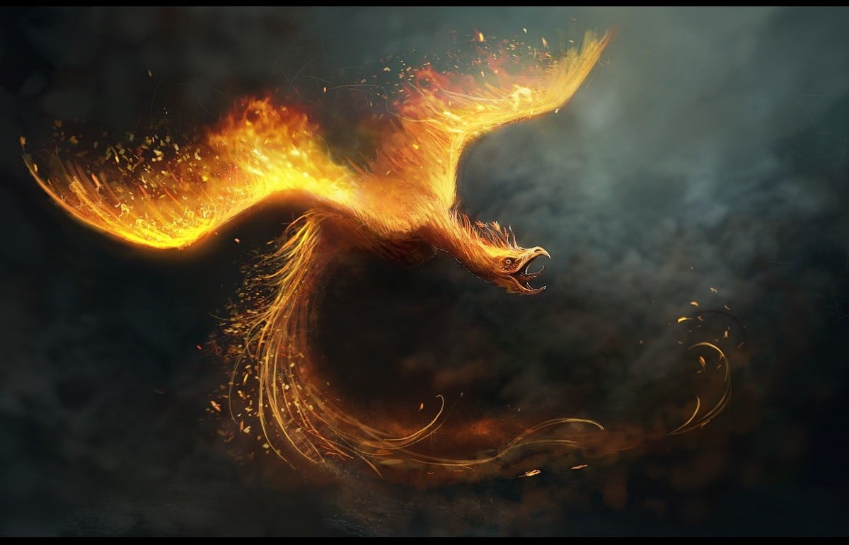 Ave Fenix - HD Wallpaper 